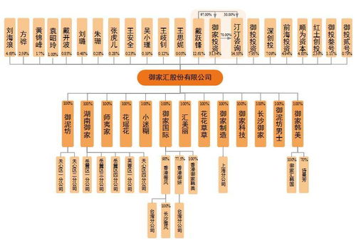御家匯IPO周三上會(huì) 年入11億背后，面膜業(yè)務(wù)與軟件及輔助設(shè)備批發(fā)的商業(yè)邏輯