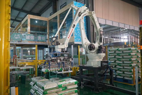 軟件技術(shù)開發(fā)賦能寧夏綠色食品產(chǎn)業(yè)，激發(fā)農(nóng)業(yè)新活力