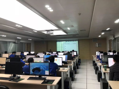 集團開展青工常用辦公軟件培訓與技術比武，助力網絡技術開發人才成長